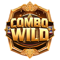 สัญลักษณ์ Wild Combo