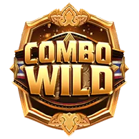 สัญลักษณ์ Wild Combo