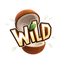 สัญลักษณ์ Wild เกมจังเกิ้ล ดีไลท์