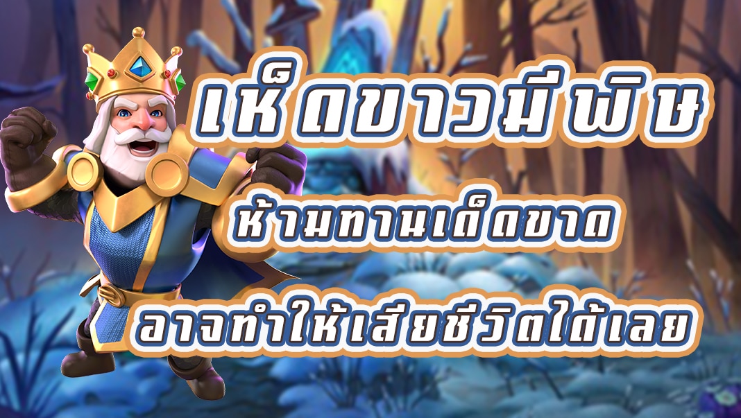 เห็ดขาวมีพิษห้ามทานเด็ดขาด อาจทำให้เสียชีวิตได้เลย