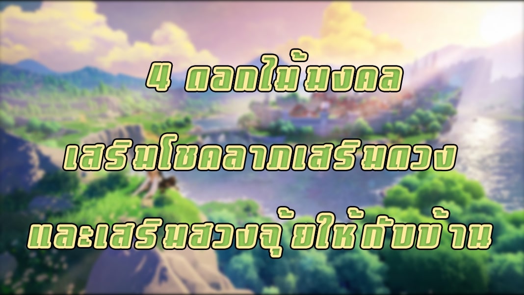 4 ดอกไม้มงคลโชคลาภเสริมดวง และเสริมฮวงจุ้ยให้กับบ้าน