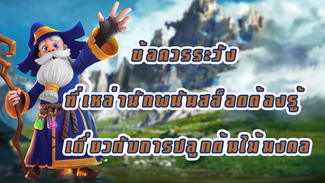 ข้อควรระวัง ที่เหล่านักพนันสล็อตต้องรู้ เกี่ยวกับการปลูกต้นไม้มงคล