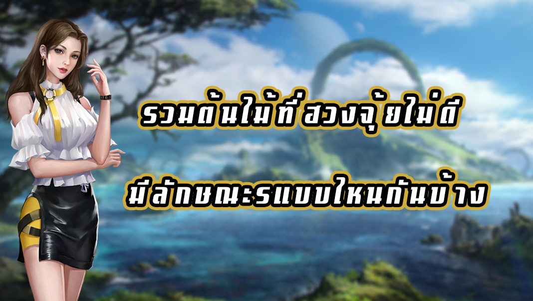 รวมต้นไม้ที่ฮวงจุ้ยไม่ดี มีลักษณะรแบบไหนกันบ้าง