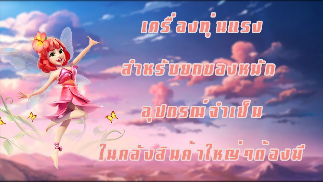 เครื่องทุ่นแรงสำหรับยกของหนัก อุปกรณ์จำเป็นในคลังสินค้าใหญ่ๆต้องมี